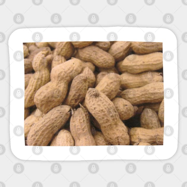 Peanut Photo Art Sticker by Food Photography